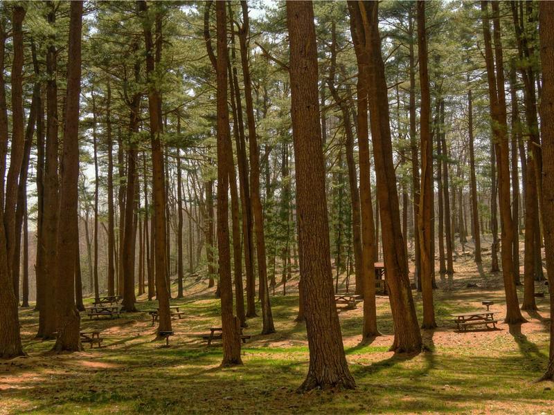 sudoku solver screenshot 3