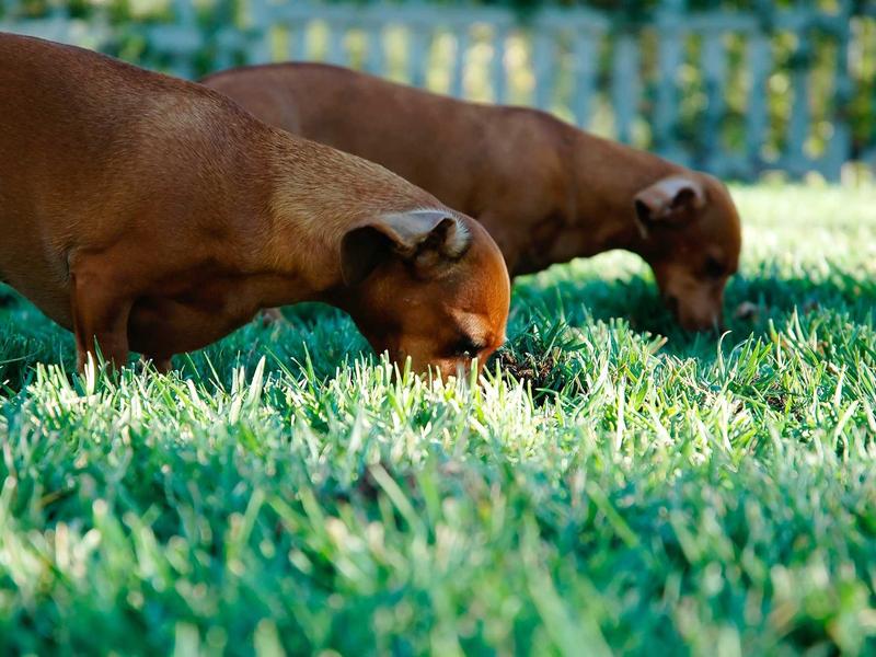 sudoku grid completion screenshot 5