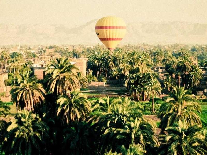 sudoku multiplayer mode screenshot 2